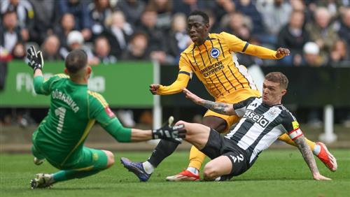 Newcastle United-Brighton