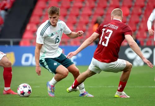 Dinamarca vs Irlanda del Norte
